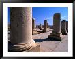 Remains Of Palace Of Cyrus The Great (C 550-529) Pasargadae, Fars, Iran by Phil Weymouth Limited Edition Print