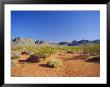 Valley Of Fire State Park, Mojave Desert, Nevada, Usa by Fraser Hall Limited Edition Print