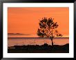 Sunset Over Skalderviken And Kullaberg, Skane, Sweden by Anders Blomqvist Limited Edition Print