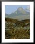 A View Of Mount Kenya From Near Karatina by Michael S. Lewis Limited Edition Print