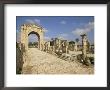Roman Triumphal Arch And Colonnaded Street, Al Bas Site, Tyre (Sour), The South, Lebanon by Gavin Hellier Limited Edition Print
