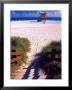 Life Guard Station, Walkway, South Beach, Miami, Florida, Usa by Terry Eggers Limited Edition Print