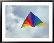 Colorful Delta Kite by Hal Gage Limited Edition Print