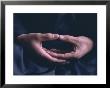 Hands, Za-Zen Meditation, Elheiji (Eiheiji) Zen Monastery, Japan, Asia by Ursula Gahwiler Limited Edition Print