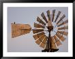 A Bird Perches On A Windmill At The Historical Steven's Creek Farm by Joel Sartore Limited Edition Print