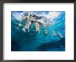 Boaters Dangle Their Feet In The Caribbean Sea by Heather Perry Limited Edition Print