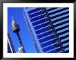 Sydney Tower, Sydney, Australia by Setchfield Neil Limited Edition Pricing Art Print