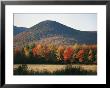 Autumn Colors Paint A New Hampshire Mountain Side by Heather Perry Limited Edition Pricing Art Print