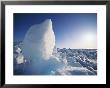 A View Of Arctic Ice by Norbert Rosing Limited Edition Pricing Art Print