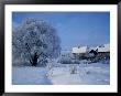 Snow-Covered Houses On Banks Of River Nemunas, Lithuania by Jonathan Smith Limited Edition Print