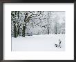 Chateau De Vizille Park After Winter Storm, Vizille, Isere, French Alps, France by Walter Bibikow Limited Edition Print