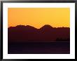 Mt. Ruapehu, Mt. Nguaruhoe And Mt. Tongariro At Sunset Taupo, Waikato, New Zealand by Barnett Ross Limited Edition Print