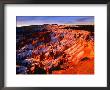Sunset Over Canyon Slopes During Winter, Bryce Canyon National Park, Usa by Carol Polich Limited Edition Print