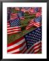 Grassy Field With American Flags Stuck In Ground by Kevin Leigh Limited Edition Print