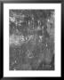 Fingernail Scratches In Main Gas Chamber, Auschwitz, Poland by David Clapp Limited Edition Print