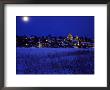 Full Moon, South Finland by Heikki Nikki Limited Edition Print