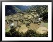 Terraced Fields And Sherpa Houses Pangboche, Nepal by Paul Franklin Limited Edition Print