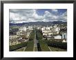 View Of Belo Horizonte's Beautiful Tree-Lined Afonso Pena Avenue by W. Robert Moore Limited Edition Print