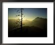 Alp Scenery, Austria by Olaf Broders Limited Edition Print