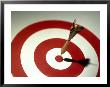 Bullseye Withdart In Center by Chuck Carlton Limited Edition Print