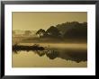 Mallard Duck Lands In A Marsh At Dawn In Chincoteague National Wildlife Refuge, Virginia by James P. Blair Limited Edition Print