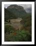 Butte In Batopilas Canyon In Mexico's Copper Canyon Region, Chihuahua State, Mexico by Phil Schermeister Limited Edition Print