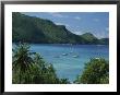Sailboats Float In Azure Water Surrounded By Green Hills And Palms by Michael Melford Limited Edition Pricing Art Print