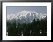An Evergreen Forest And Snow-Covered Sunset Peak In Kashmir, India by Gordon Wiltsie Limited Edition Print