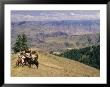 A Group Of Horseback-Riding Tourists Take In The View Of Hells Canyon by Richard Nowitz Limited Edition Print