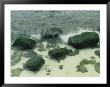 Surf Splashing On Beach Stones, Jasmund National Park, Germany by Norbert Rosing Limited Edition Print