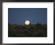 The Moon Shines Over A Landscape by Nicole Duplaix Limited Edition Print