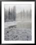 Winter View Of A Wetlands In The Park by Bobby Model Limited Edition Print
