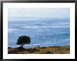 A Scenic Water View From Atop A Hill by Raymond Gehman Limited Edition Print