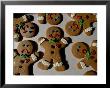 Gingerbread Cookies Display Different Facial Expressions by Joel Sartore Limited Edition Print