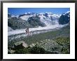 The Morteratsch Glacier And Ice Field With A Swiss Flag by Taylor S. Kennedy Limited Edition Pricing Art Print