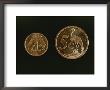 Indigenous Wildlife Adorns South Africas Coinage by Tino Soriano Limited Edition Pricing Art Print