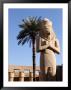 Ramses Ii Statue And Palm Tree At The Karnak Temple, Egypt by Michele Molinari Limited Edition Print