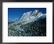 Winter View Of Athabasca Pass by Maria Stenzel Limited Edition Print