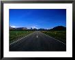 Long Country Road, Christchurch, New Zealand by Chris Mellor Limited Edition Print