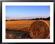 Rolls Of Straw In Fields Along Highway 26, Georgia, Usa by Oliver Strewe Limited Edition Print