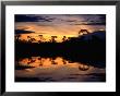 Sunset Over Lagoons Of Cuyabeno In The Ecuadorian Amazon Basin, Cuyabeno Fauna Reserve, Ecuador by Alfredo Maiquez Limited Edition Print