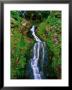 Assarnnacally Waterfall, Ardara, Ireland by Richard Cummins Limited Edition Print