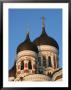 Detail Of Onion Domes Of Alexander Nevsky Cathedral, Tallinn, Estonia by Jonathan Smith Limited Edition Print