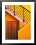 Door At The Bottom Of A Stairway In Southern Ireland by Tom Haseltine Limited Edition Print