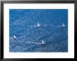 Sailboats Racing by Ewing Galloway Limited Edition Pricing Art Print