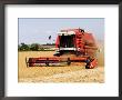 Combine Harvester Harvesting Crop, England by Martin Page Limited Edition Print