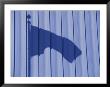 Waving Shadow Of The American Flag On A Corrugated Storage Building by Stephen St. John Limited Edition Print
