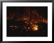 Fires Dot The Ponderosa Pine Forest On The Mescalero Indian Reservation by Raymond Gehman Limited Edition Print