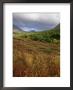 Rainbow On Flat Top Mountain Viewed From Chugach National Forest by Michael Melford Limited Edition Print