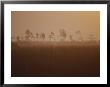 Sunrise In Everglades National Park by Raul Touzon Limited Edition Print